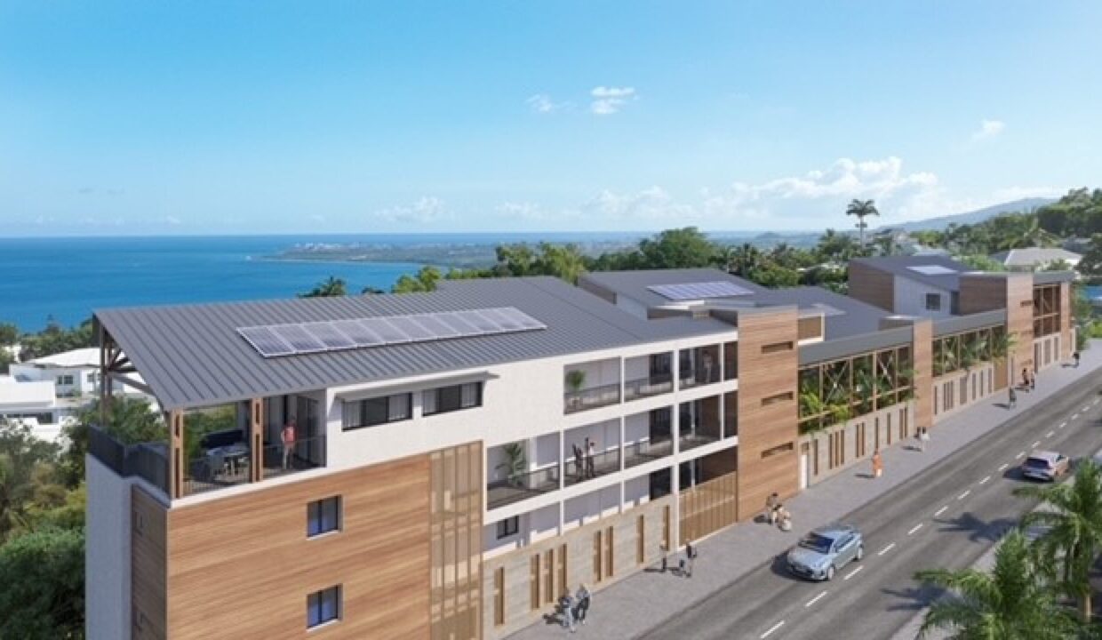 6867-RESIDENCE-NEUVE-KAIYO-PLATEAU-CAILLOUX-OKAR-C3-89-IMMOBILIER-284-29
