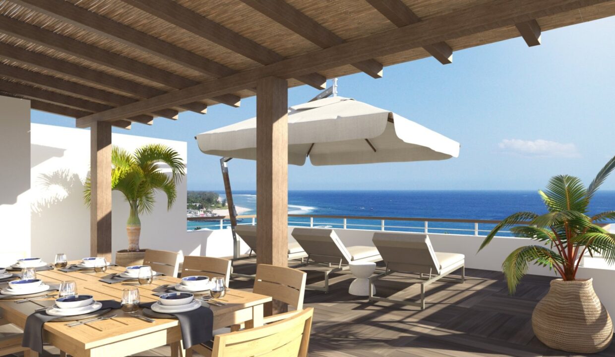 11223-SUMMERILE_3D_TERRASSE03.jpg